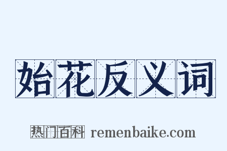 始花反义词是什么意思的图片